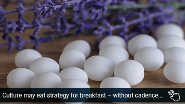Culture may eat strategy for breakfast – without cadence there is nothing to eat – just a nasty smell of mothballs!